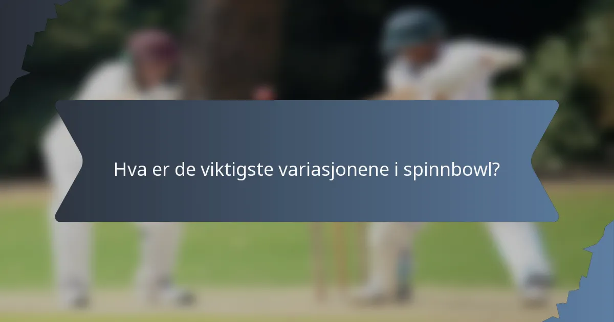 Hva er de viktigste variasjonene i spinnbowl?